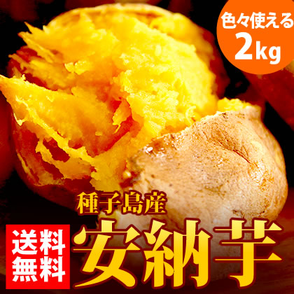 【送料無料】安納芋のさつまいも2kg  鹿児島県種子島産ブランドサツマイモ 焼き芋やお菓子作りにおすすめ！【送料込み】※生のさつまいもです※同梱不可
