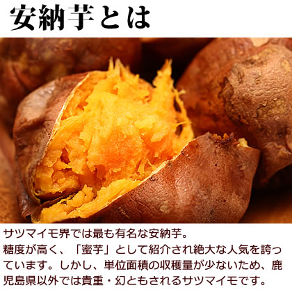 【送料無料】安納芋のさつまいも2kg  鹿児島県種子島産ブランドサツマイモ 焼き芋やお菓子作りにおすすめ！【送料込み】※生のさつまいもです※同梱不可