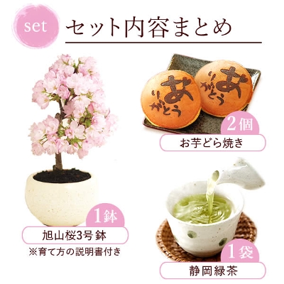 【送料無料】母の日ギフト花とスイーツ　盆栽 桜（旭山）とどら焼き2個 【産直】