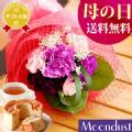 【送料無料】母の日ギフトムーンダストの花束＆ふわふわシフォンケーキセット フラワーギフト